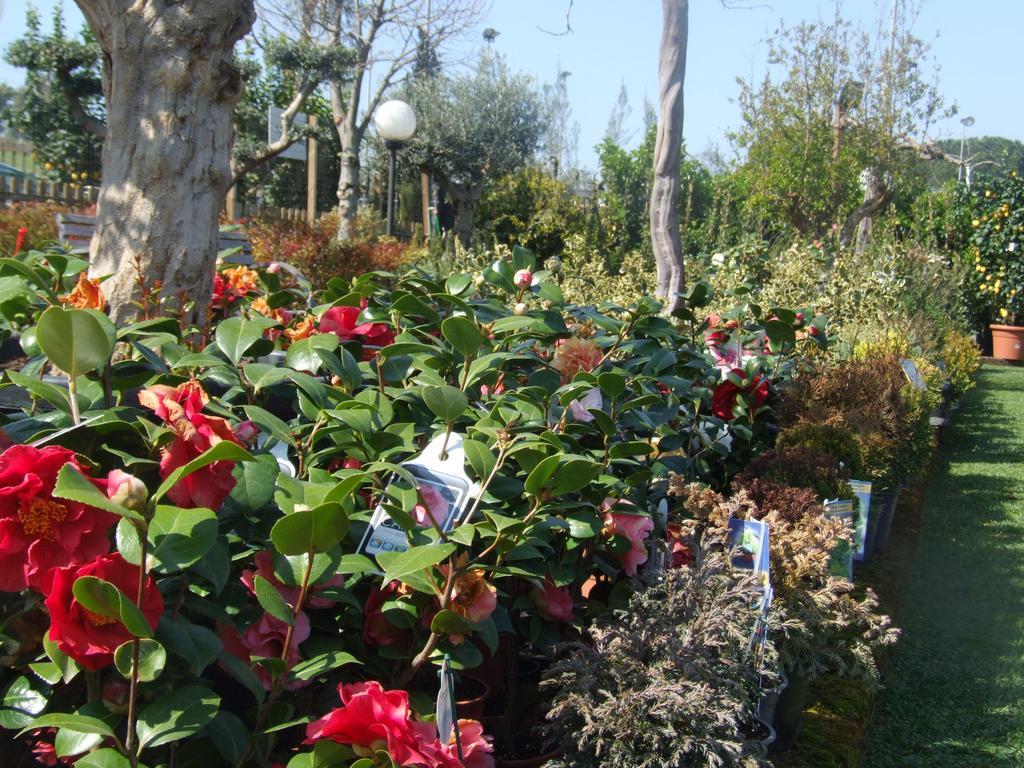לינה וארוחת בוקר רומא Residenza I Ciclamini מראה חיצוני תמונה