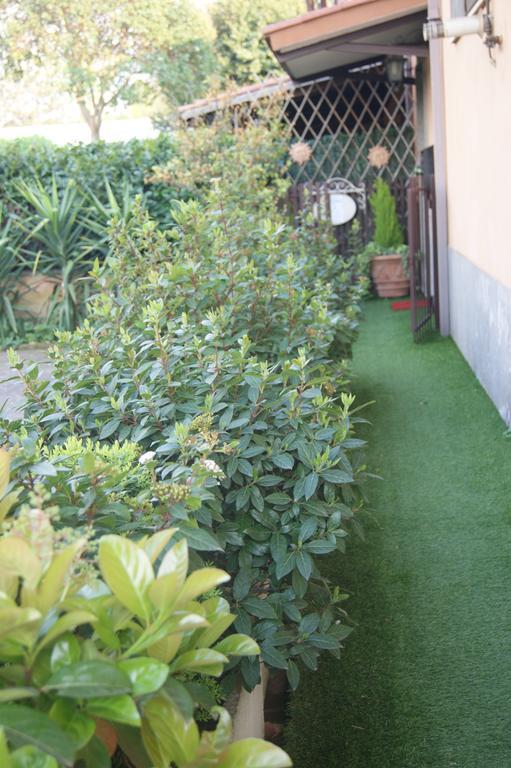 לינה וארוחת בוקר רומא Residenza I Ciclamini מראה חיצוני תמונה